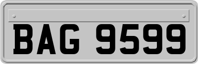 BAG9599