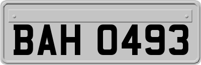 BAH0493