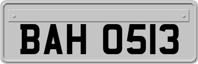 BAH0513