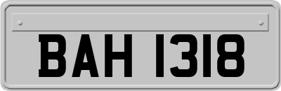 BAH1318