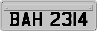 BAH2314