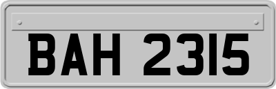 BAH2315