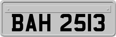 BAH2513