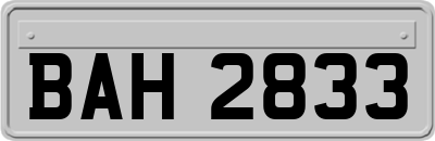 BAH2833
