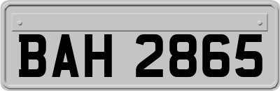 BAH2865