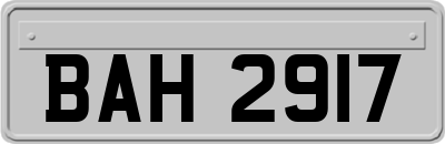 BAH2917
