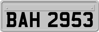 BAH2953