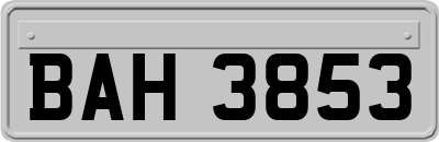 BAH3853