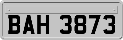 BAH3873