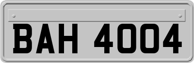 BAH4004