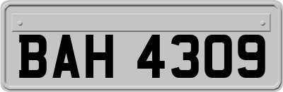 BAH4309