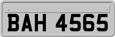 BAH4565