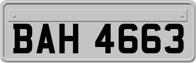 BAH4663