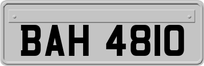 BAH4810
