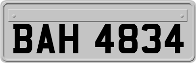 BAH4834
