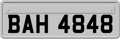 BAH4848