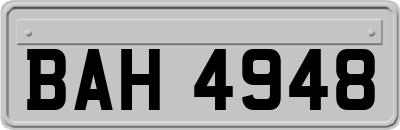 BAH4948