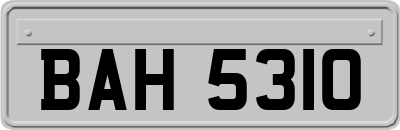 BAH5310