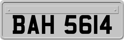 BAH5614