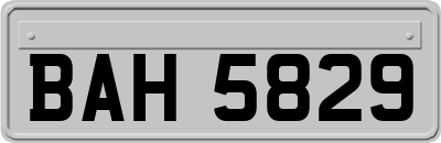 BAH5829