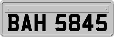 BAH5845
