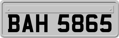 BAH5865