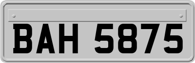 BAH5875
