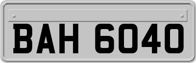 BAH6040