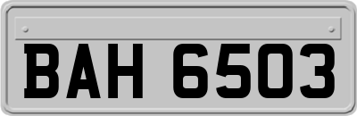 BAH6503