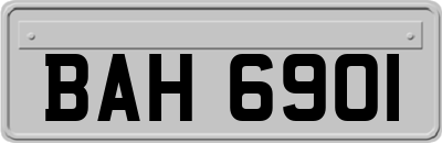BAH6901