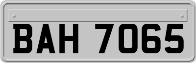 BAH7065