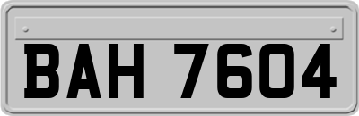 BAH7604