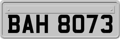 BAH8073