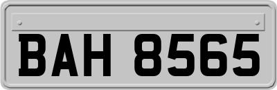 BAH8565
