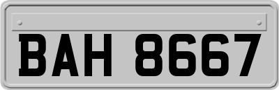 BAH8667