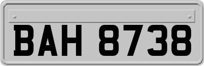 BAH8738