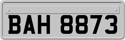 BAH8873