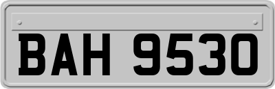 BAH9530