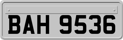 BAH9536