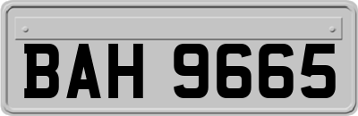 BAH9665
