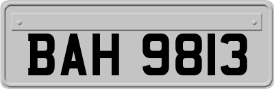 BAH9813
