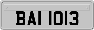 BAI1013