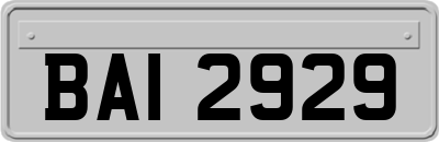 BAI2929
