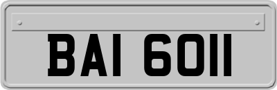BAI6011