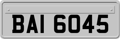 BAI6045