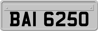 BAI6250
