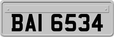 BAI6534