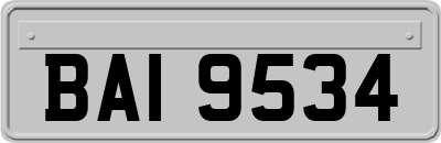 BAI9534