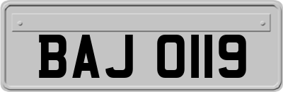 BAJ0119