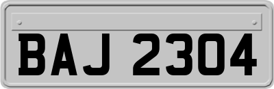 BAJ2304